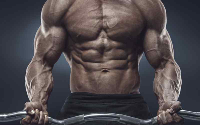 Físico de fisiculturistas O físico do fisiculturista