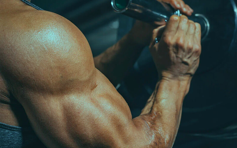 Esteróides e crescimento muscular