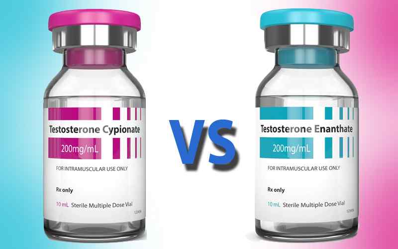 Cipionato de testosterona versus enantato de testosterona Cipionato de testosterona versus enantato de testosterona