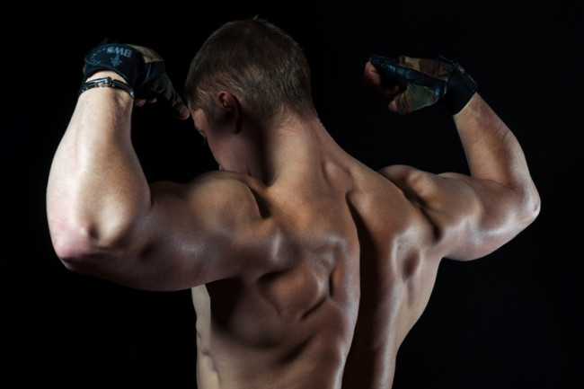 esteróides para ganho muscular