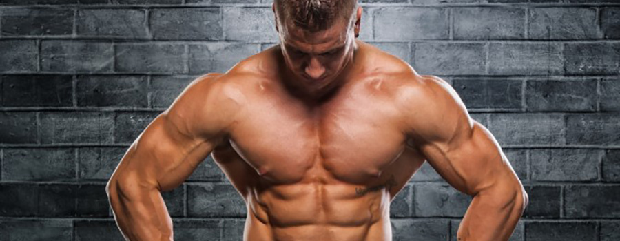 Esteróides do ciclo da ponte Esteróides de Ciclo-Ponte